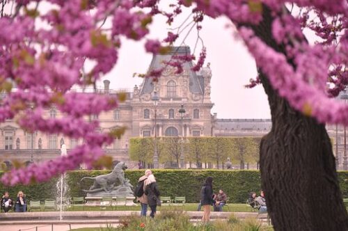 Famosi giardini parigini: quali sono i più belli? E i più antichi?