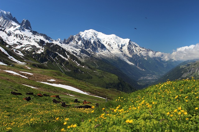 Montagna più alta d’Europa: come raggiungere il Monte Bianco? Qual è la sua altezza?